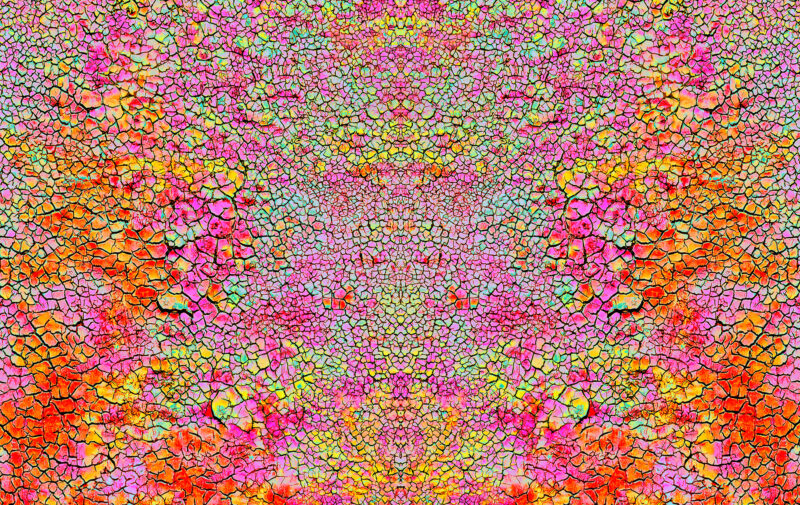 A Fine Art photograph seamlessly blending photographic detail with painterly expression, inviting the viewer into a kaleidoscopic interplay.